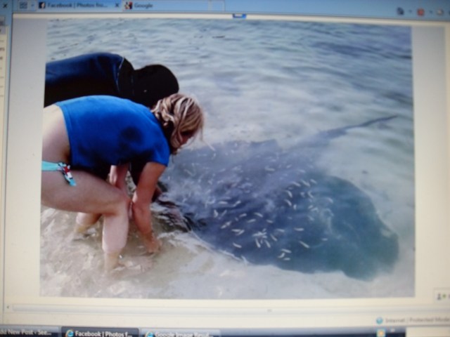 VLUU L210 / Samsung L210