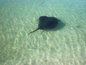 ma se prent en seevakansie 037