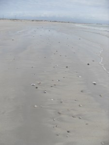 VLUU L210  / Samsung L210