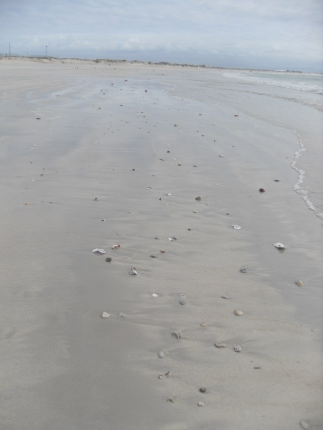 VLUU L210  / Samsung L210