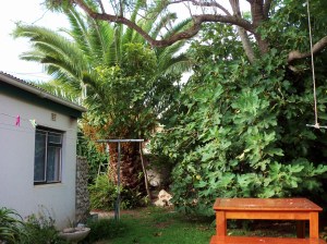 Agter hierdie bome is daar 'n rolbalbaan!