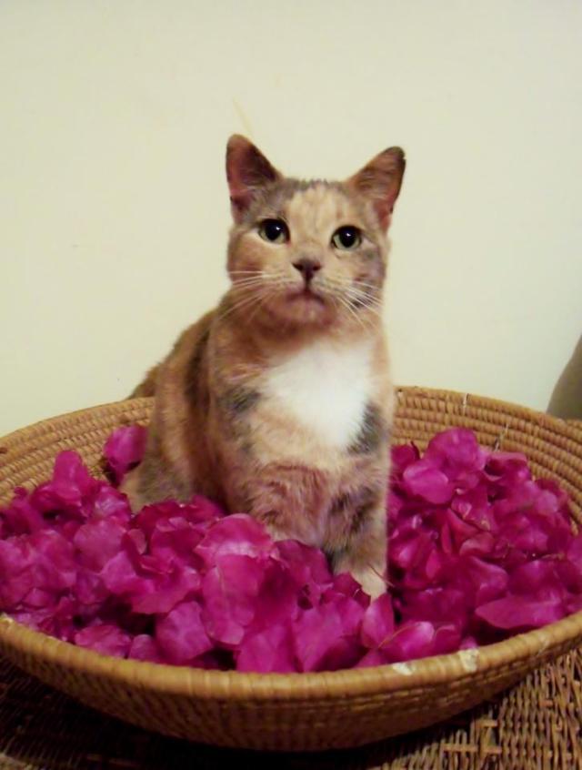 541376_10150690768591866_927939517_n